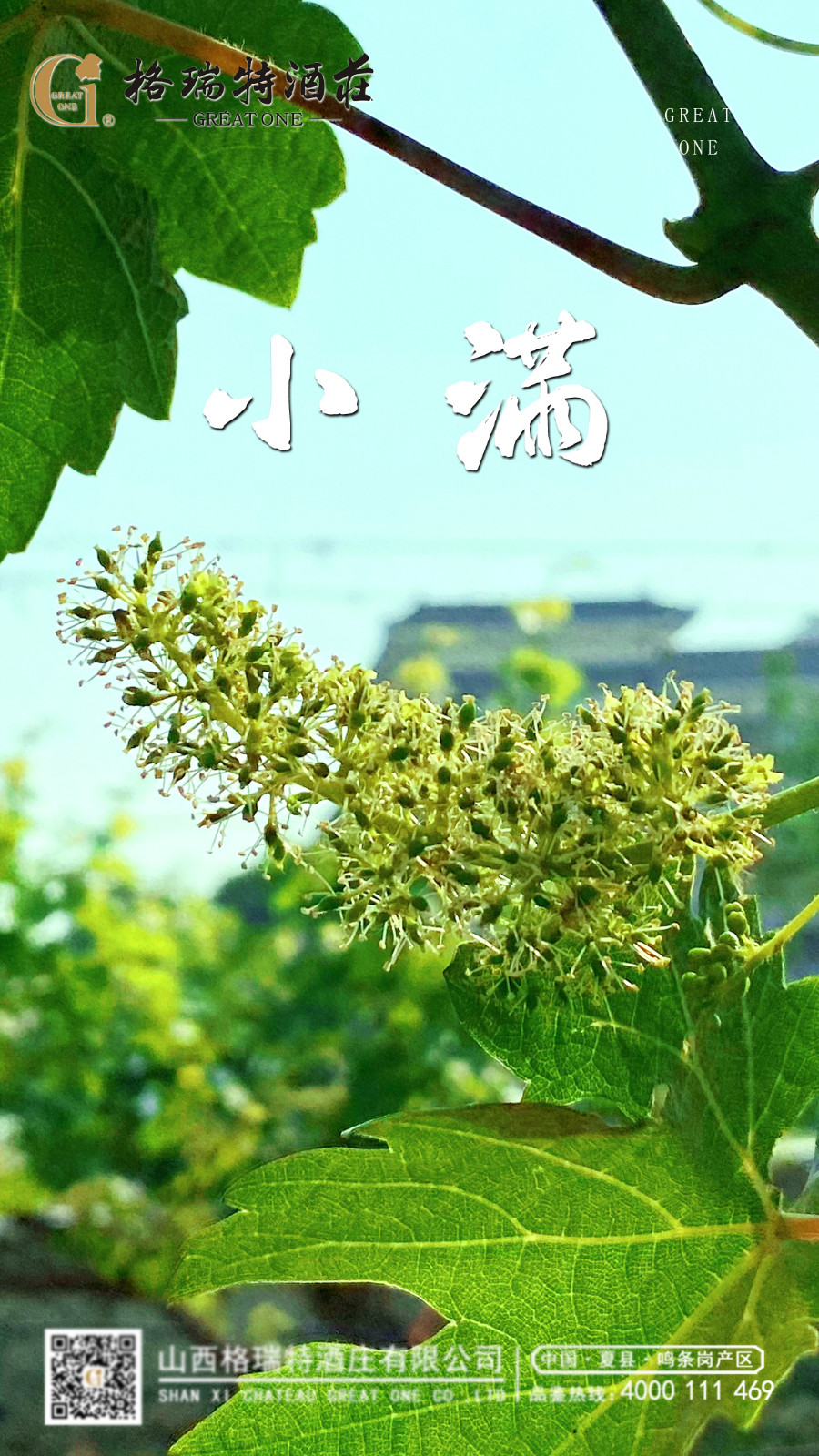 小滿(mǎn).jpg